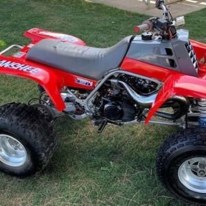 1989 Yamaha Banshee